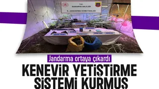 Evine iklimlendirme sistemi kurup kenevir yetiştirmiş