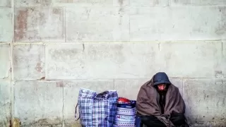 Evsizler ve sokak hayvanları için genelge