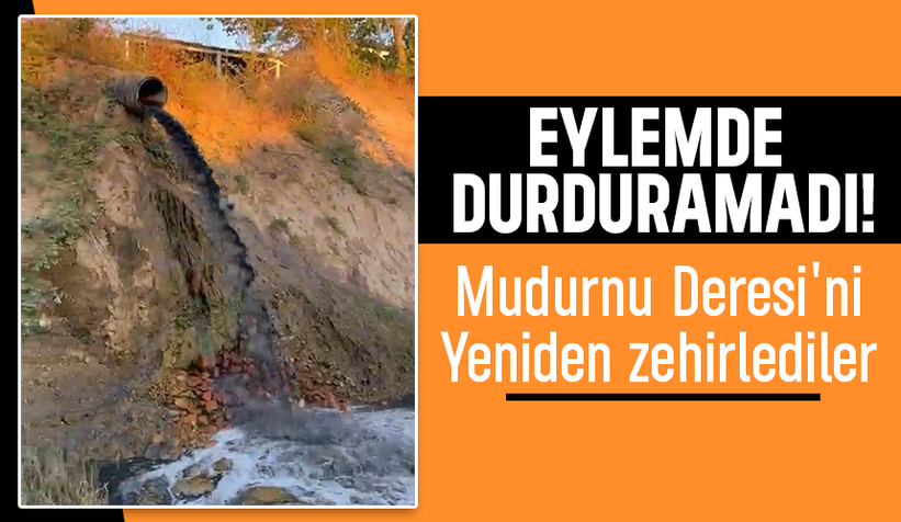 Eylemden saatler sonra Mudurnu Deresi'ni kirlettiler