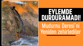 Eylemden saatler sonra Mudurnu Deresi'ni kirlettiler