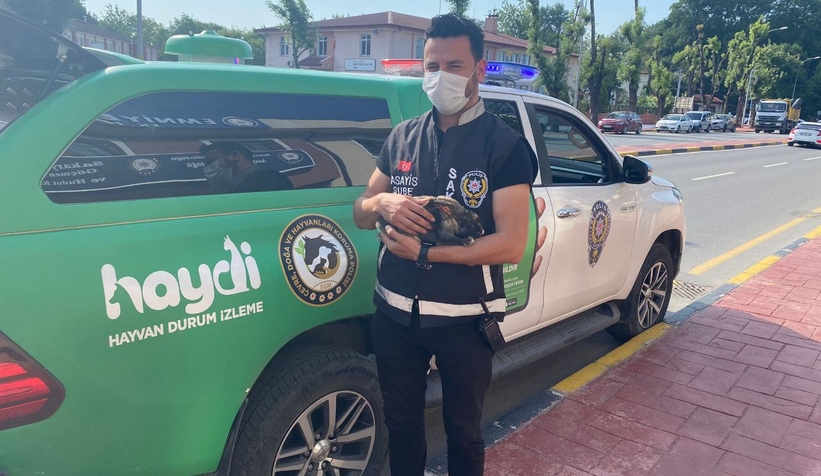 Eziyet gören tavşanı barınağa verdiler