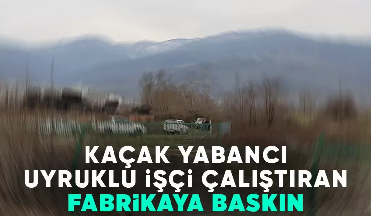 Fabrikada çok sayıda kaçak yabancı uyruklu işçi yakalandı
