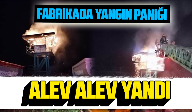 Fabrikada yangın paniği
