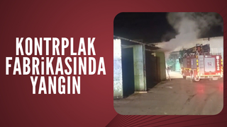 Fabrikada yangın paniği