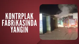 Fabrikada yangın paniği