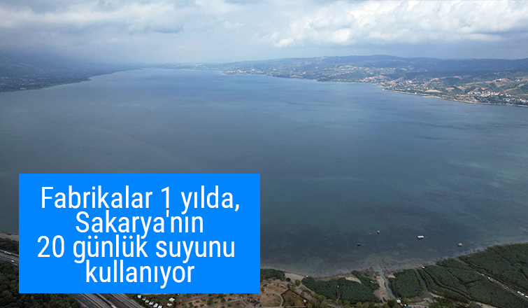 Fabrikaların Sapanca Gölü'nden kullandığı su şehrin 20 günlük su tüketime eşit