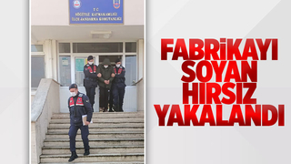 Fabrikayı soyan hırsız yakalandı