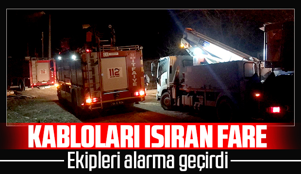 Fare kabloları ısırdı ekipler alarma geçti