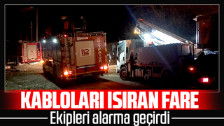 Fare kabloları ısırdı ekipler alarma geçti