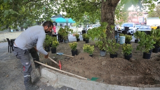Fatih Camii bahçesine renkli dokunuş
