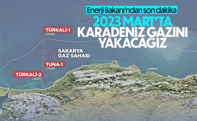 Fatih Dönmez: Mart ayında kendi gazımızı yakacağız