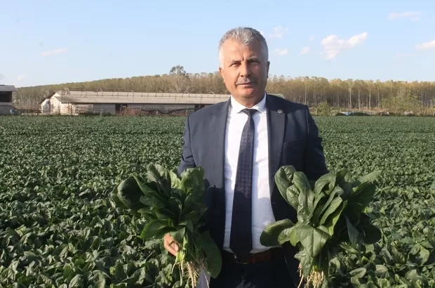 Fehmi Özüpek koronaya yenik düştü