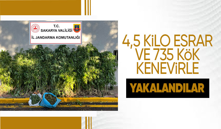 Ferizli'de esrar operasyonu