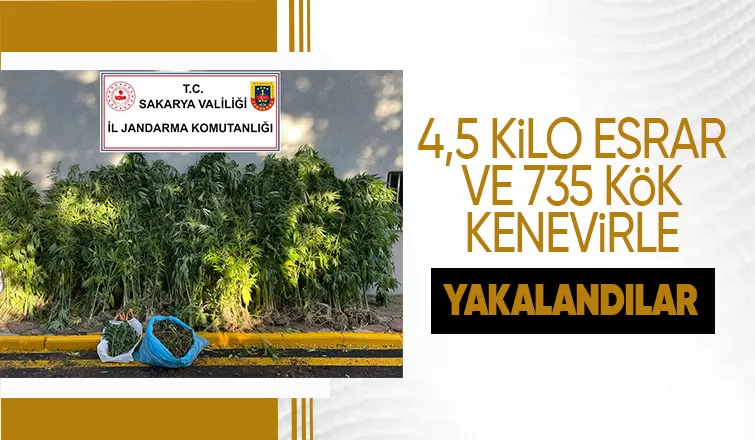 Ferizli'de esrar operasyonu
