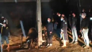 Ferizli'de samanlık yangını