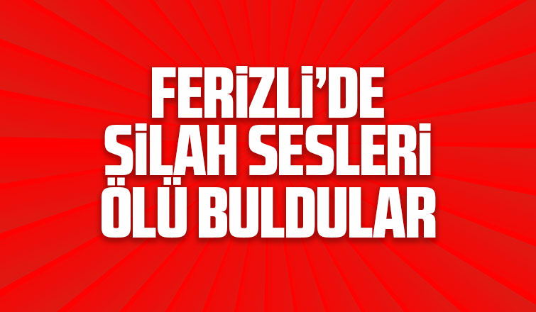Ferizli'de silah sesleri ölü buldular