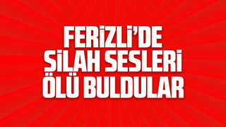 Ferizli'de silah sesleri ölü buldular