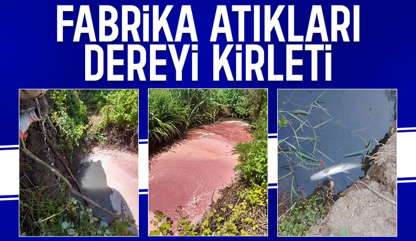 Ferizli'de vatandaşın kirlilik isyanı