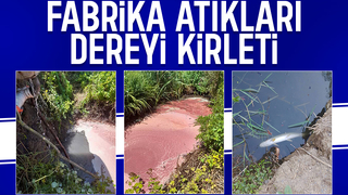 Ferizli'de vatandaşın kirlilik isyanı