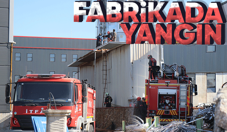 Ferizli OSB'de yangın paniği