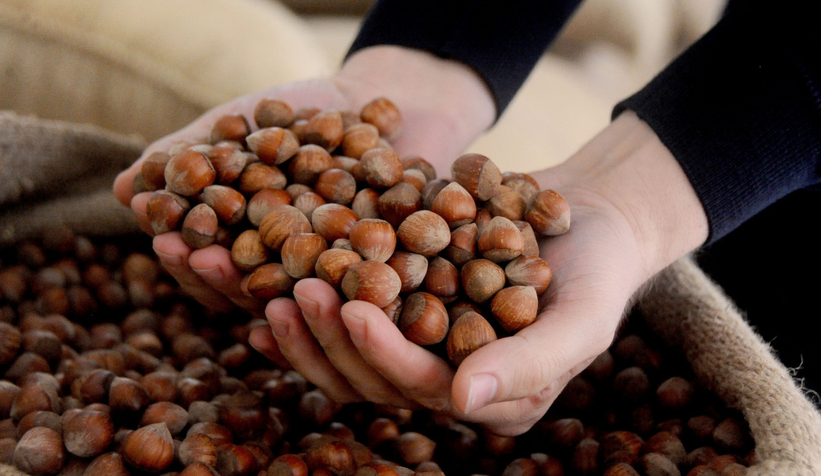 Ferrero'dan yanlış ve yanıltıcı haberlere ilişkin açıklama