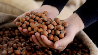 Ferrero'dan yanlış ve yanıltıcı haberlere ilişkin açıklama