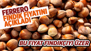 Ferrero fındık fiyatını açıkladı