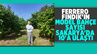 Ferrero Sakarya’da iyi tarım uygulamalarını yaygınlaştırdı