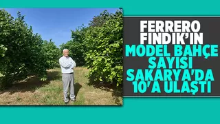 Ferrero Sakarya’da iyi tarım uygulamalarını yaygınlaştırdı