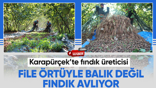 File örtüyle yapılan fındık hasadında maliyet düştü