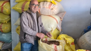 Fındık 125 lirayı görecek