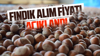 Fındık alım fiyatları belli oldu