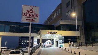 Fındık bahçesinde ağabeyini öldürdü