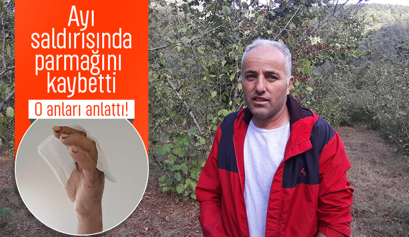 Fındık bahçesinde ayı dehşeti; Parmağını kaybetti