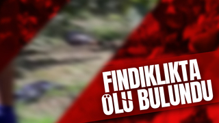 Fındık bahçesinde cansız bedeni bulundu