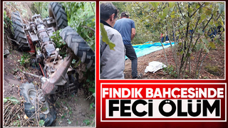 Fındık bahçesinde traktör devrildi: 1 ölü