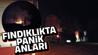 Fındık bahçesindeki ev alevlere teslim oldu