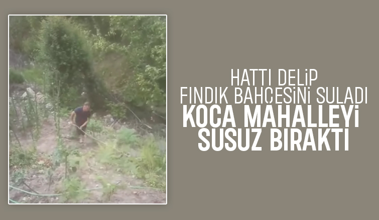 Fındık bahçesini sulamak için mahalleyi susuz bıraktı