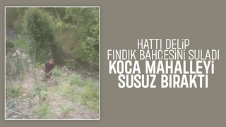 Fındık bahçesini sulamak için mahalleyi susuz bıraktı