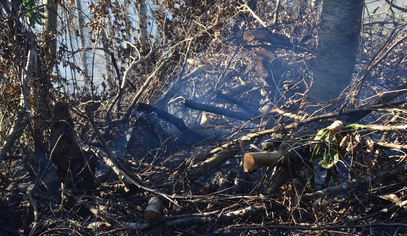 Fındık bahçesini temizlerken 30 dönümlük alanı yaktı