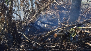 Fındık bahçesini temizlerken 30 dönümlük alanı yaktı