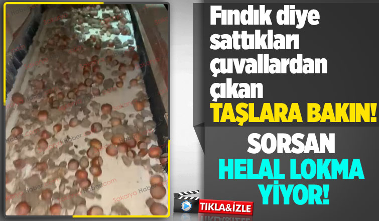Fındık diye taş satıyorlardı bakın ne yaptı