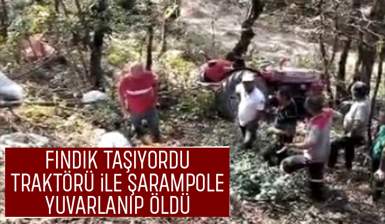 Fındık dönüşü kaza; Sürücü öldü
