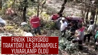 Fındık dönüşü kaza; Sürücü öldü