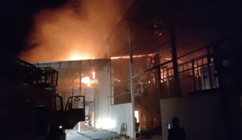 Fındık fabrikası alevlere teslim oldu