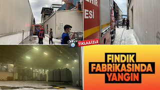 Fındık fabrikasında yangın paniği