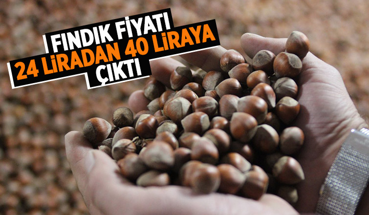 Fındık fiyatı 40 lira oldu