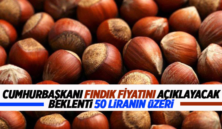 Fındık fiyatı açıklanacak