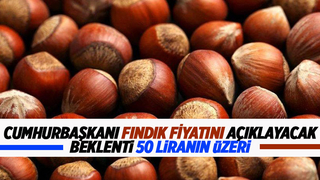 Fındık fiyatı açıklanacak