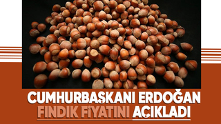 Fındık fiyatı açıklandı